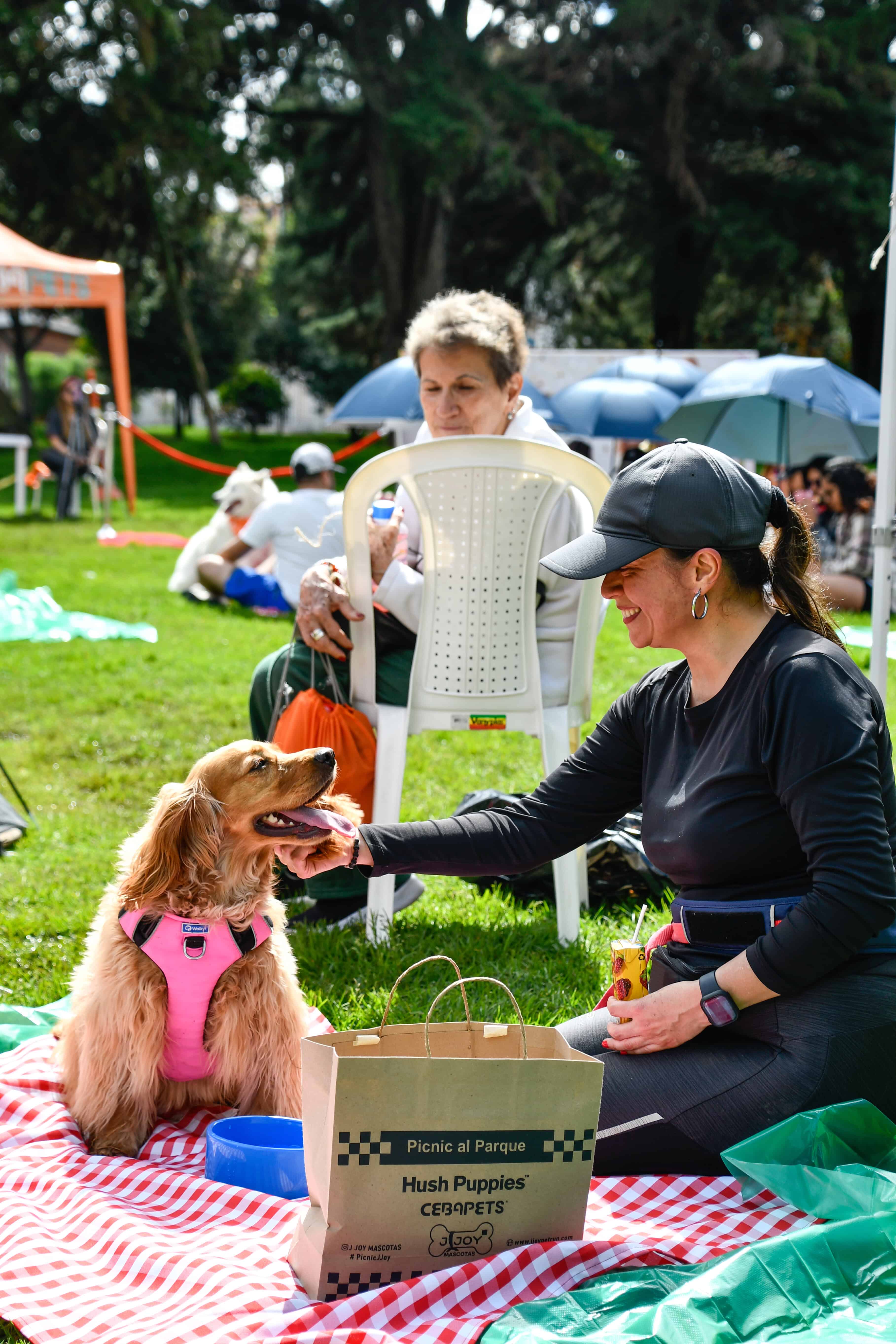 PICNIC EN EL SIMON BOLIVAR