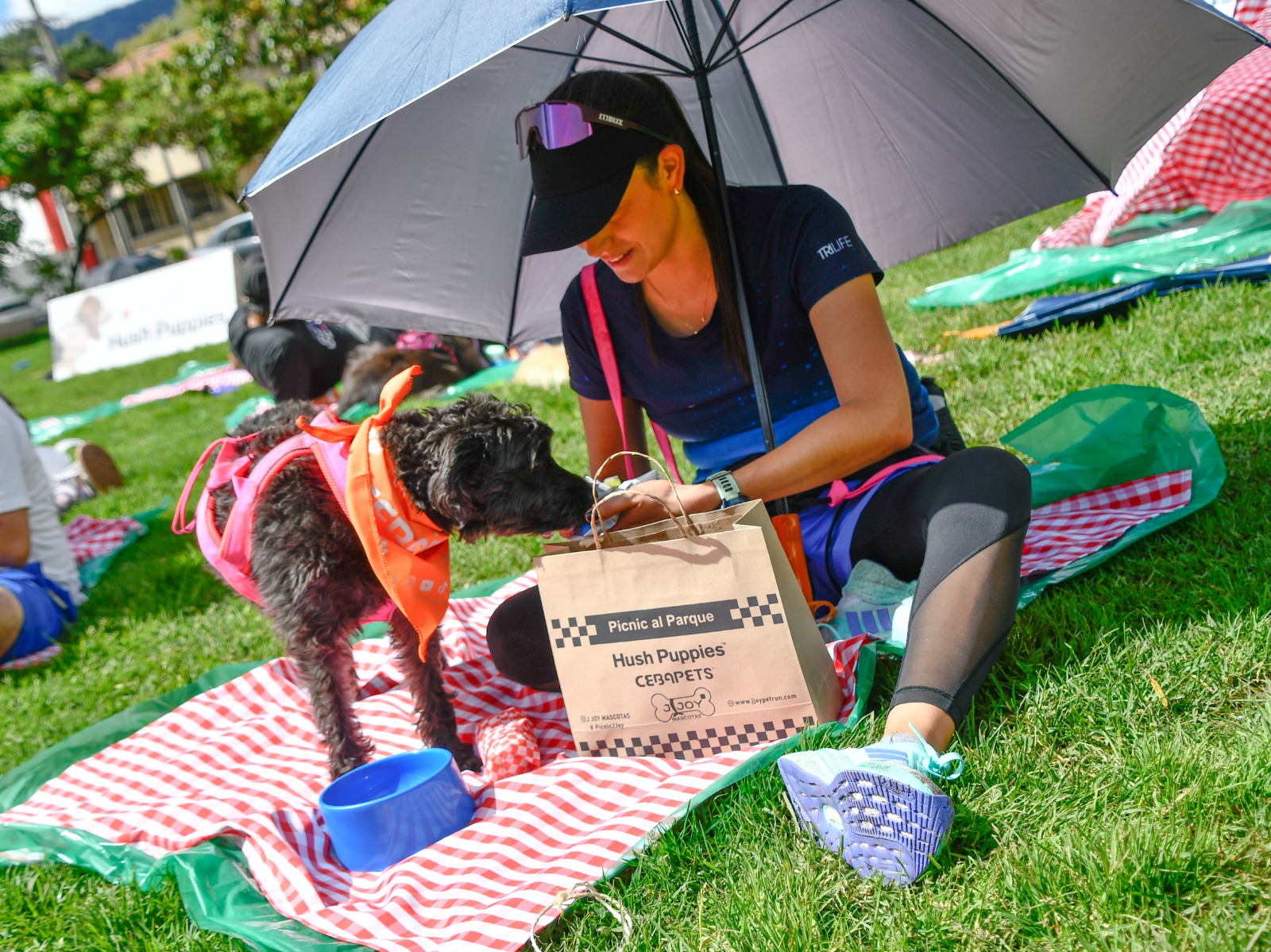 Picnic al parque 2026